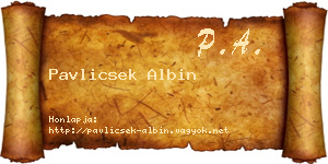 Pavlicsek Albin névjegykártya